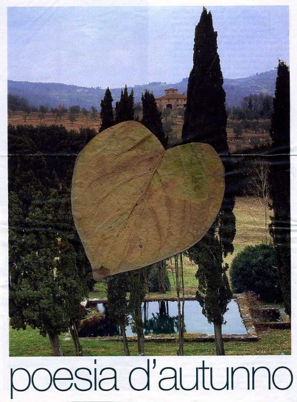 Poesia d