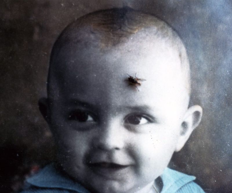 Ritratto di bambino con destino poetico